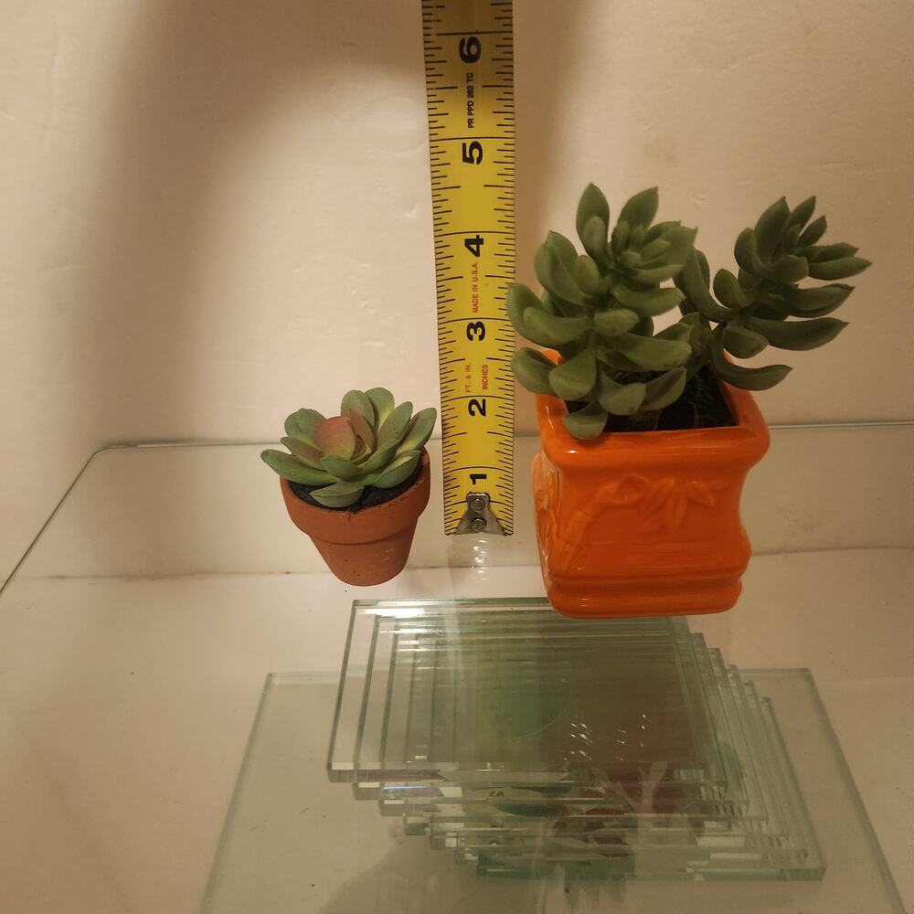 Set of 2 Mini Plastic Cactus Plants